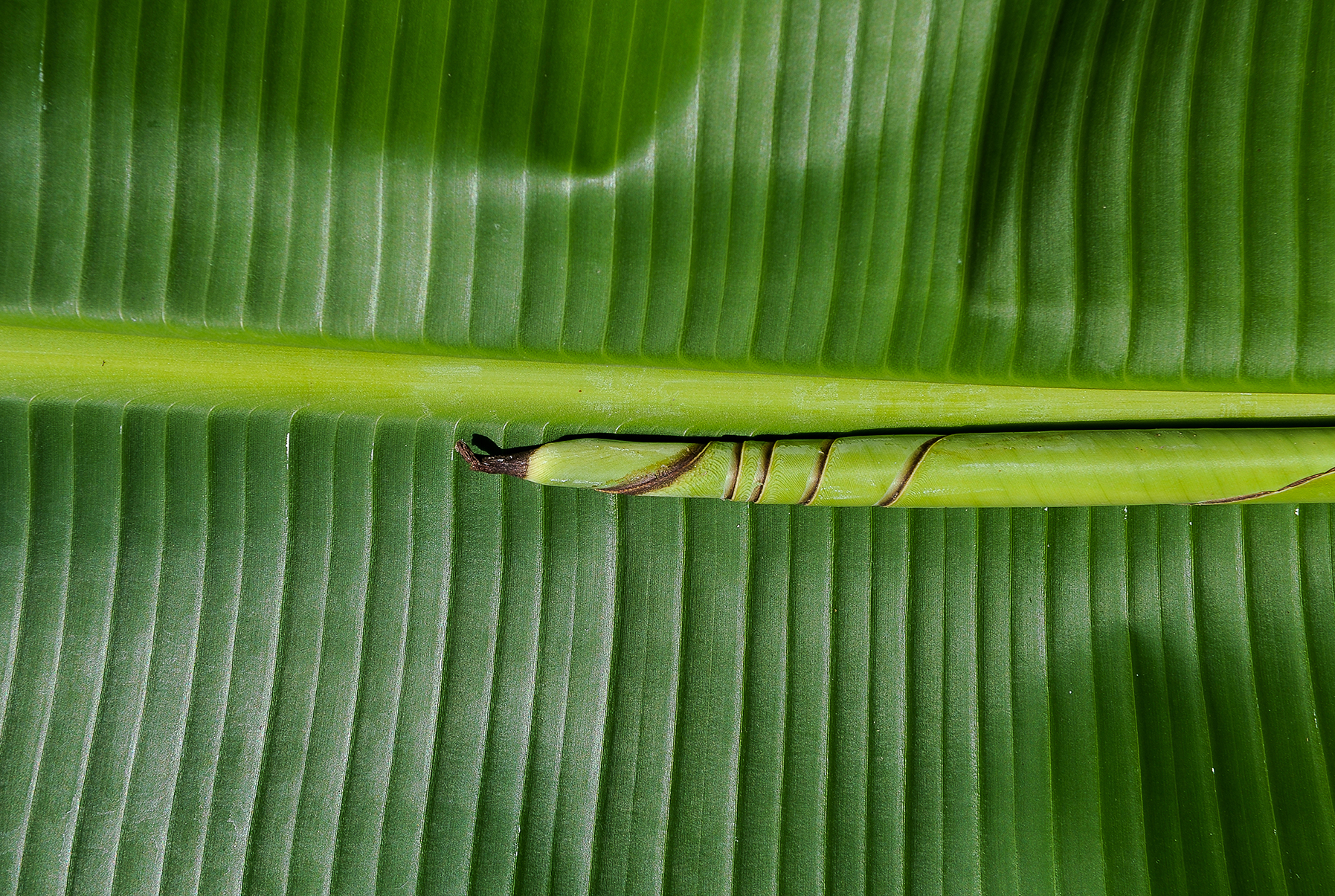 DSC0410