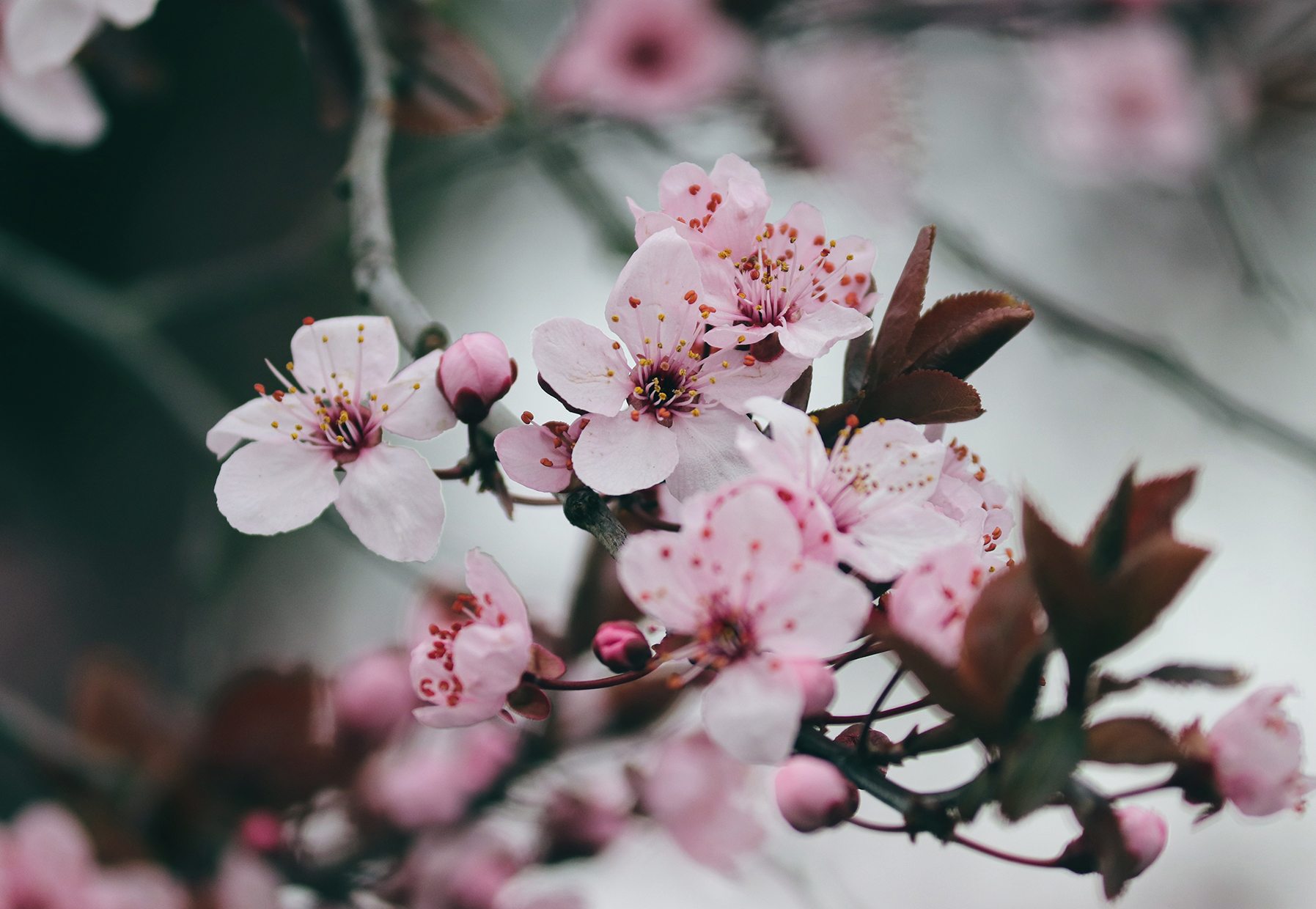 CCRJR_7