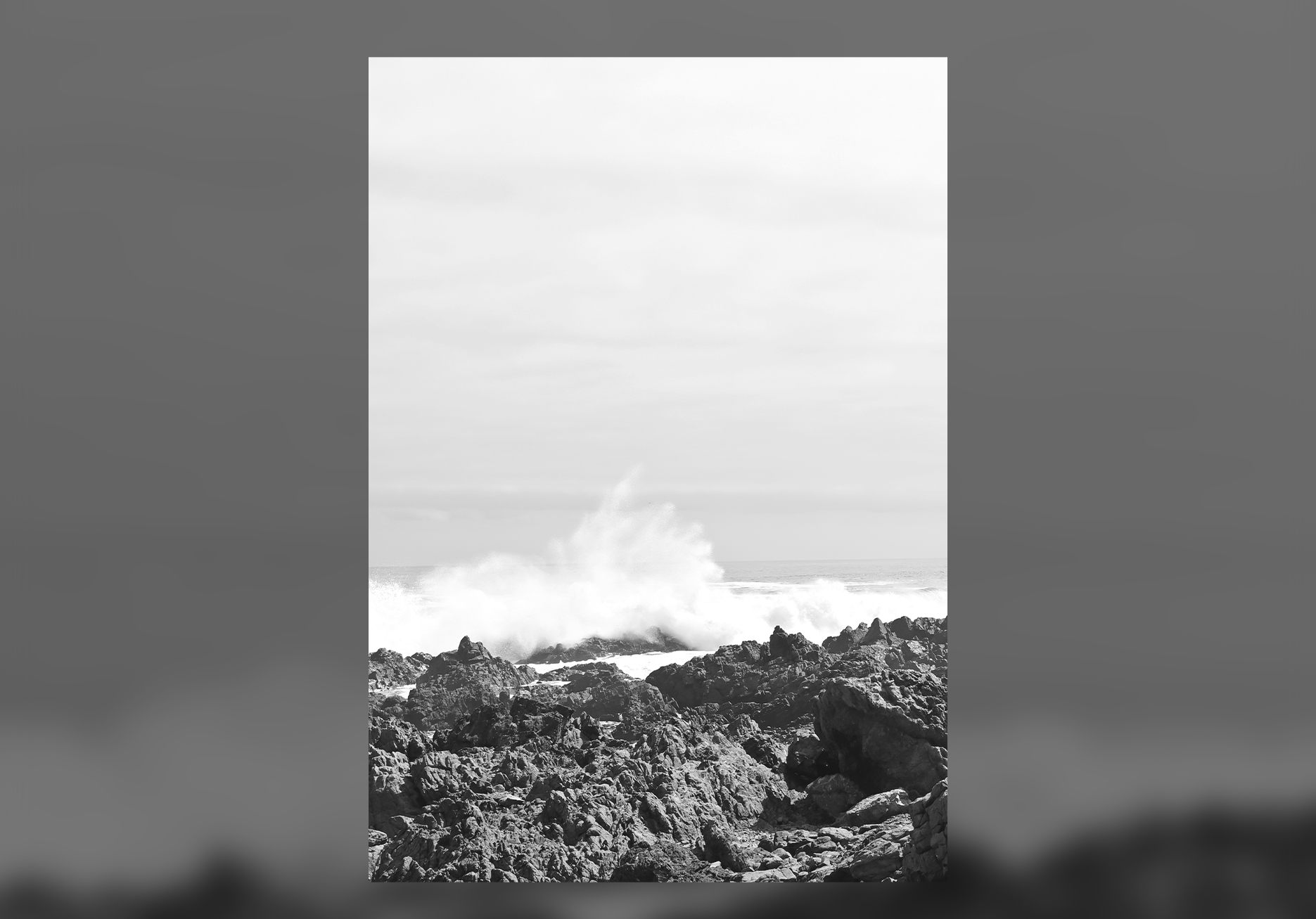 Z6P_6818