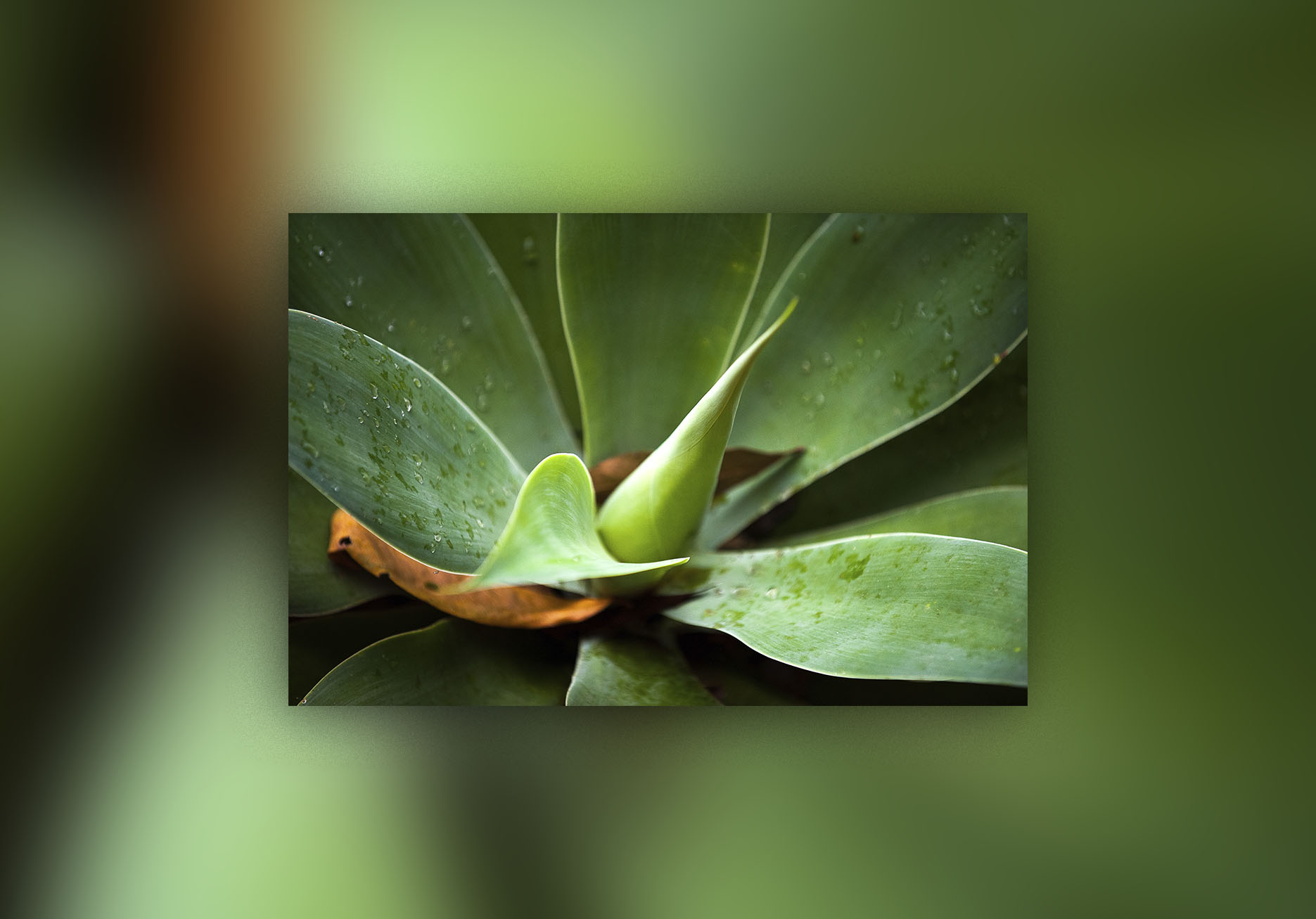 DSC0114